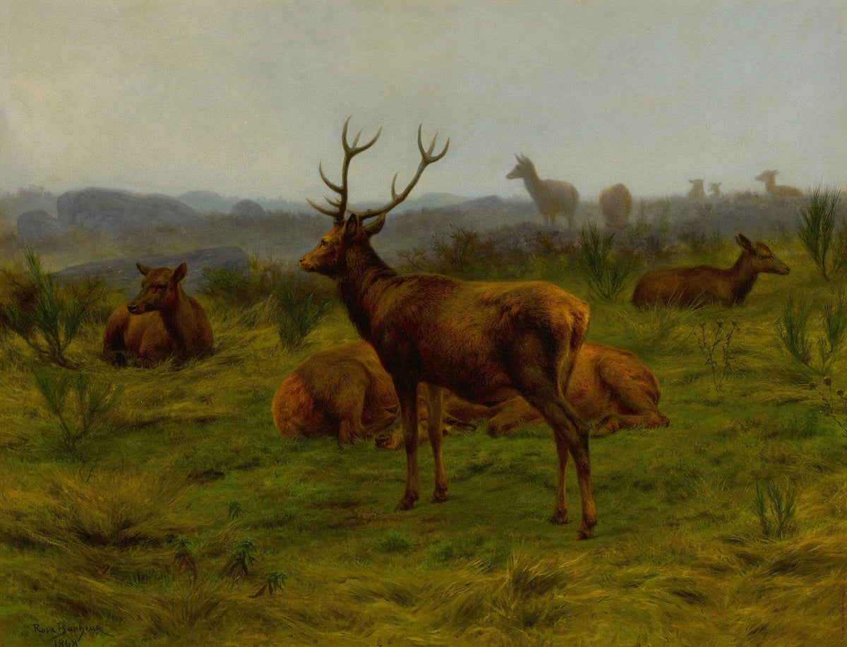 The Monarch Of The Herd by Rosa Bonheur