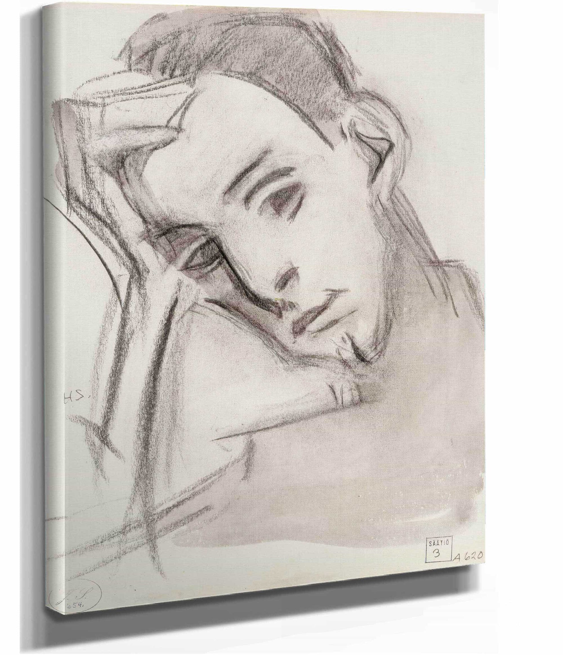 The Nephew by Helene Schjerfbeck