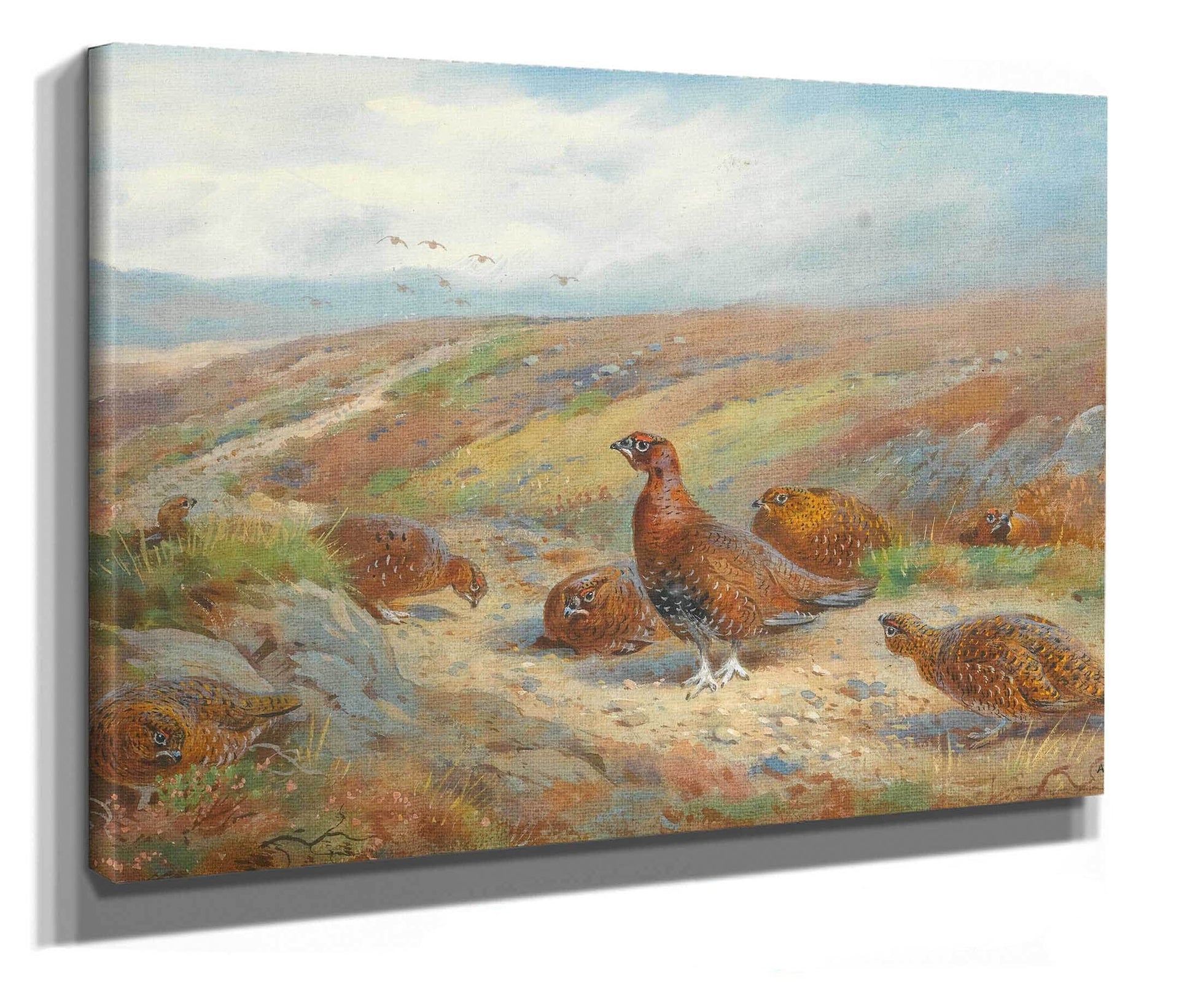 The Old Drove Road by Archibald Thorburn