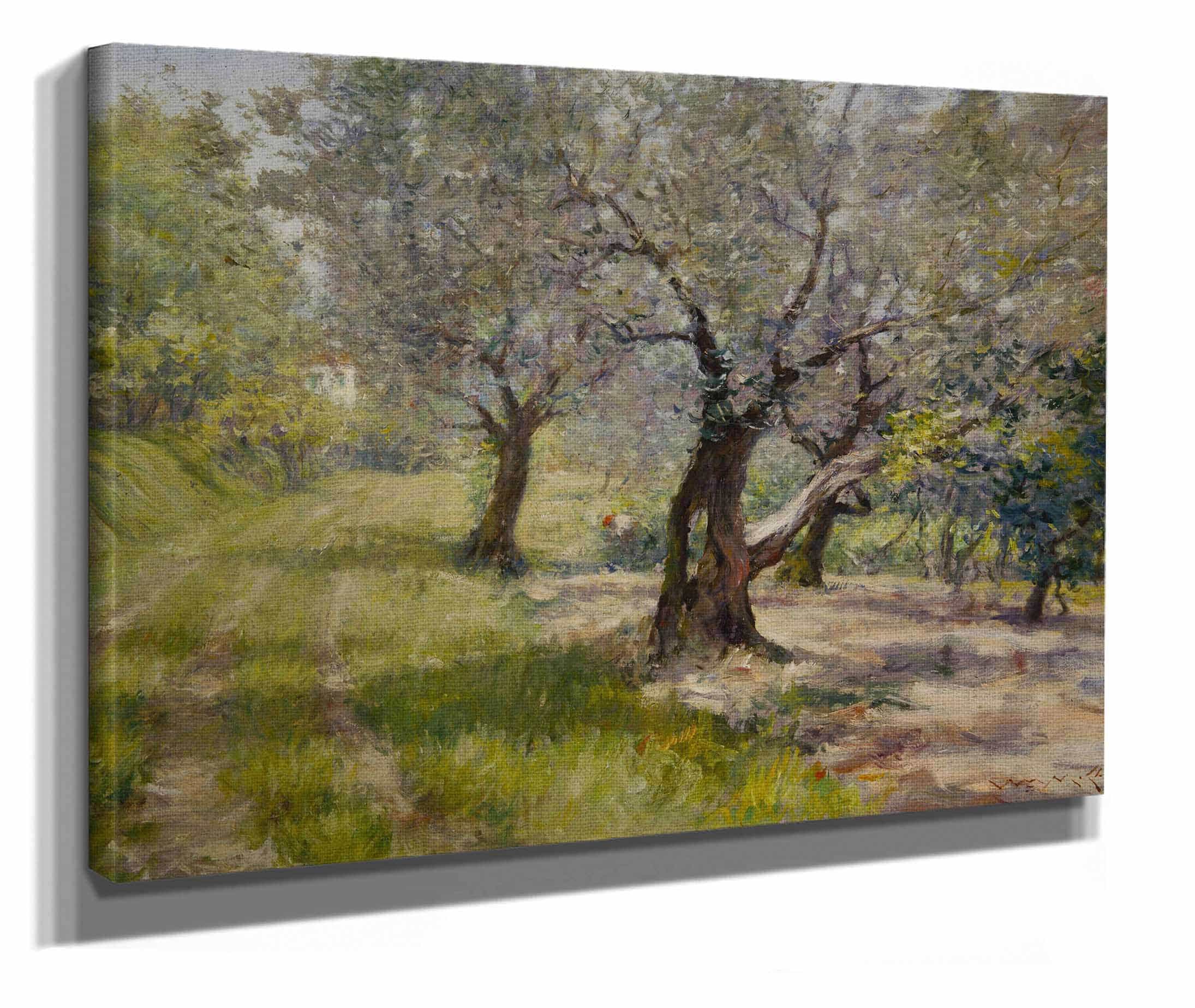 The Olive Grove by William Merritt Chase