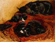 The Proud Mother by Henriette Ronner Knip