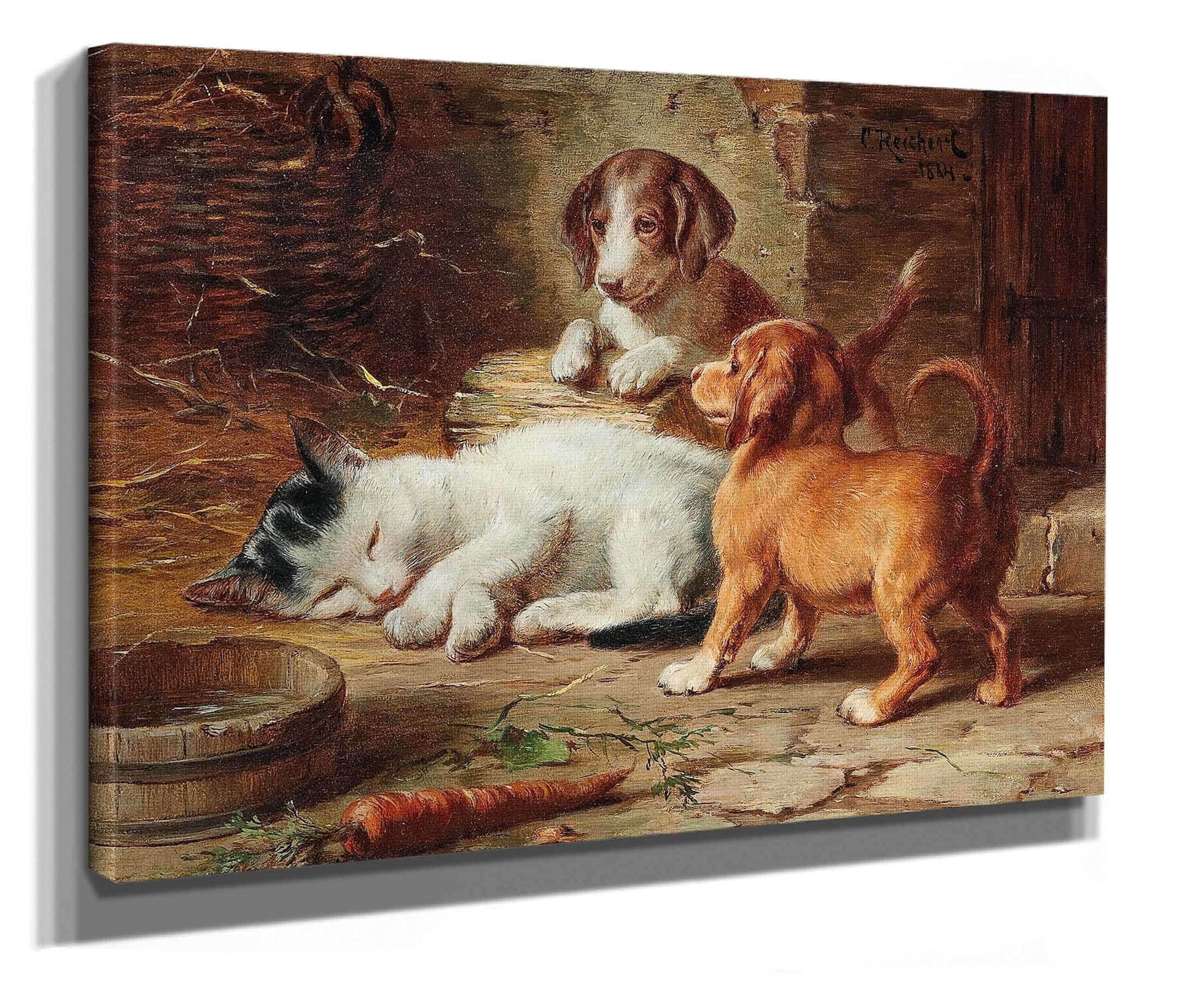 The Puppies Are Awake by Carl Reichert