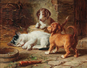 The Puppies Are Awake by Carl Reichert