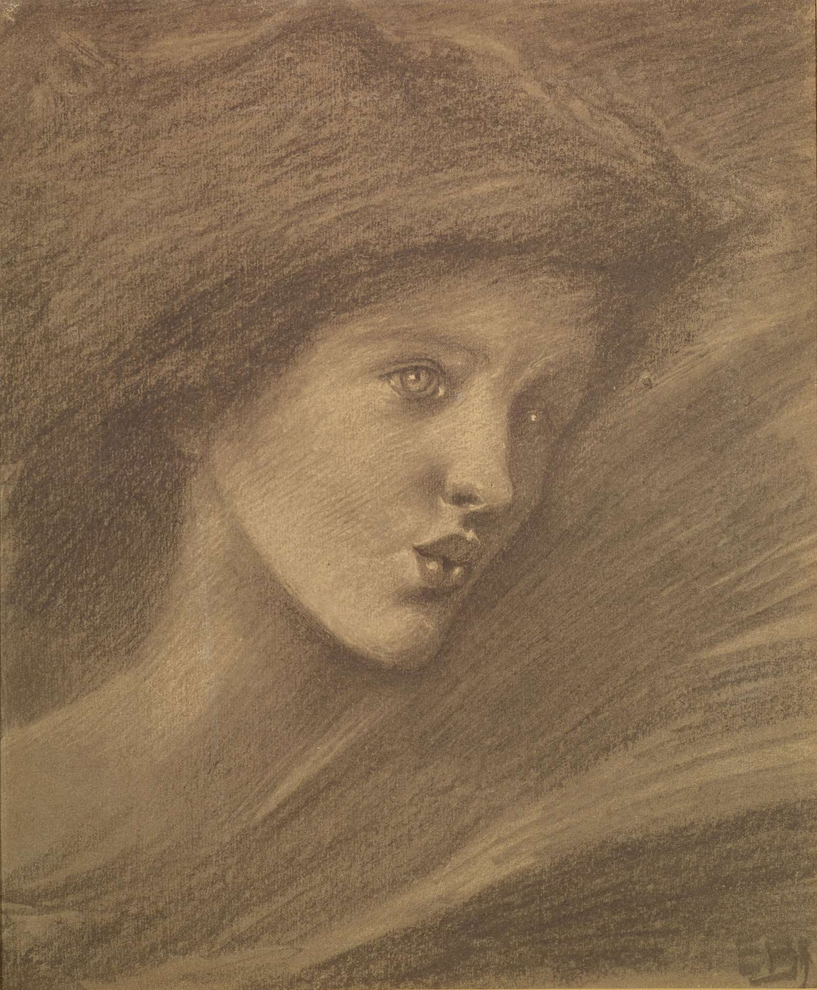 The Song Of Solomon Study Of A Zephyr For Sponsa De Libano by Sir Edward Coley Burne Jones