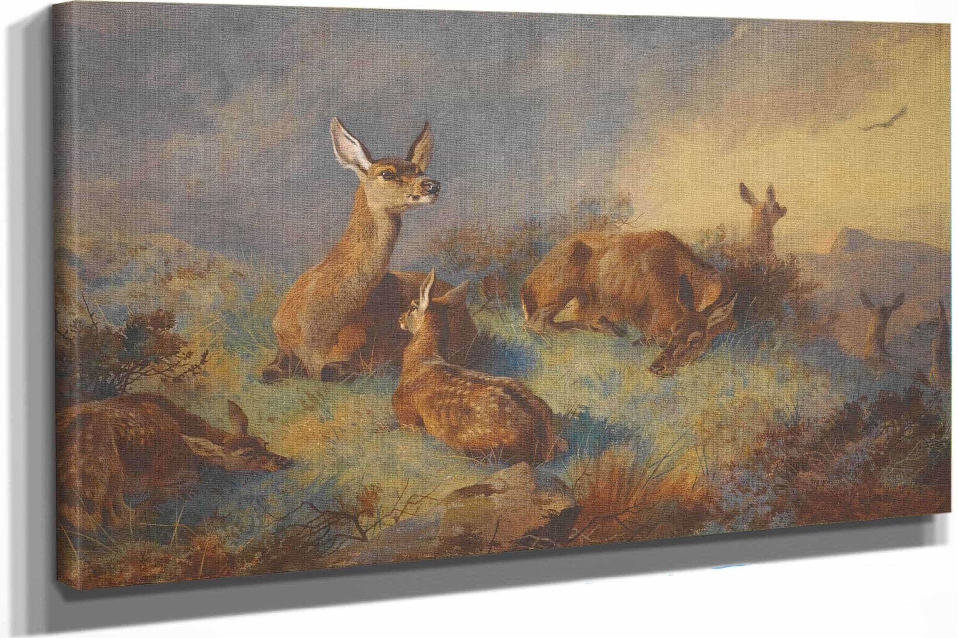 The Watchful Hinds by Archibald Thorburn