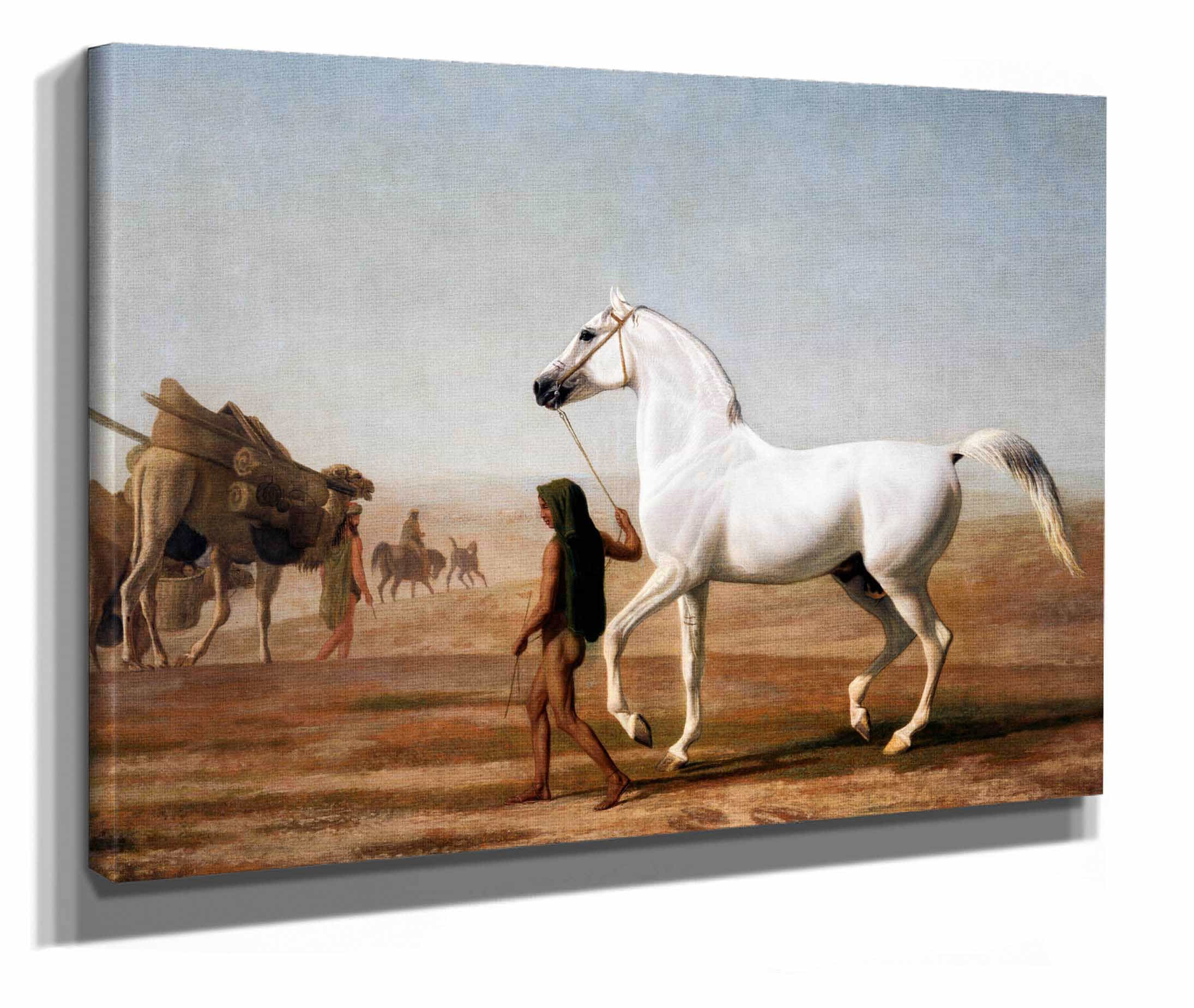The Wellesley Grey Arabian Led Through The Desert by Jacques Laurent Agasse