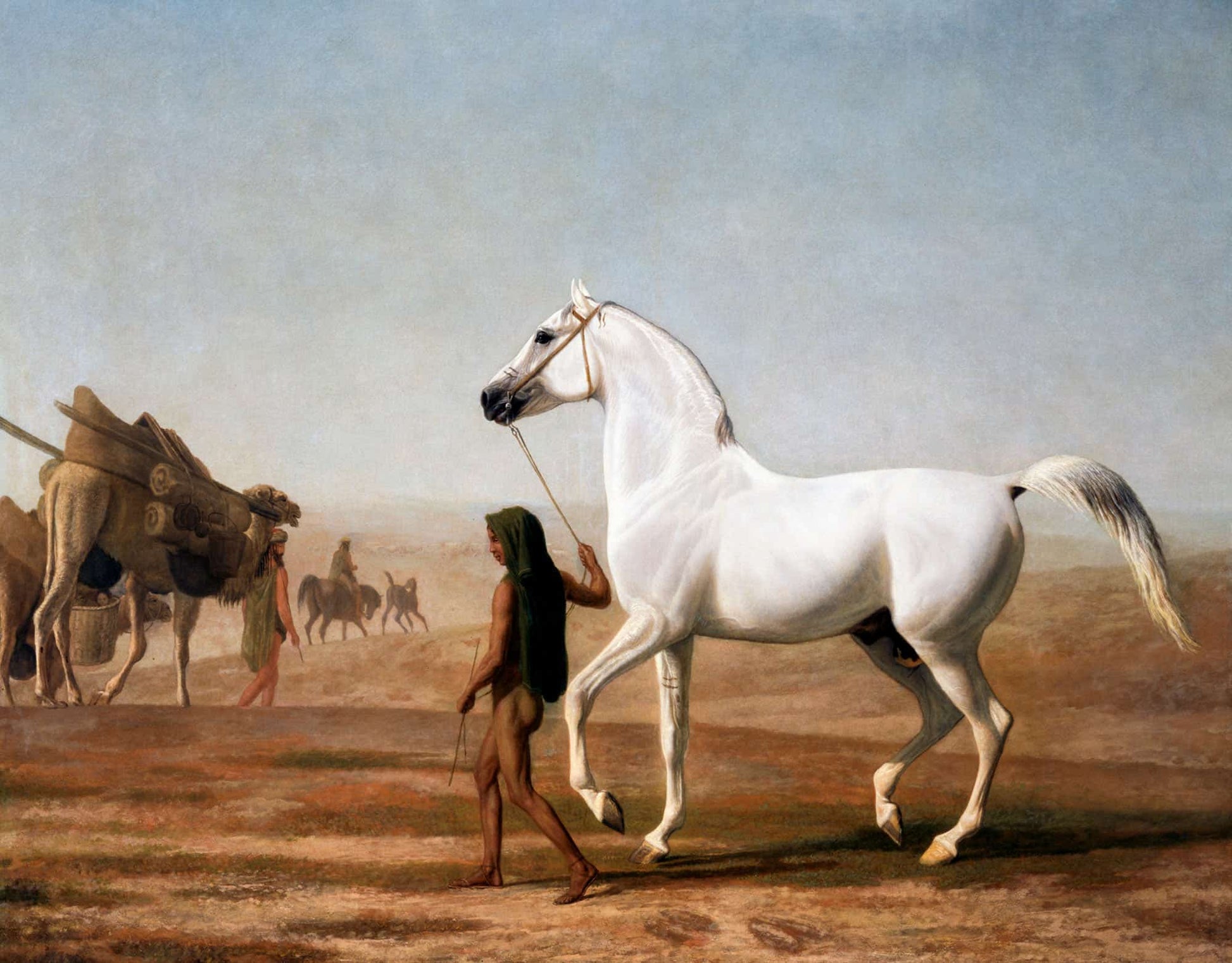 The Wellesley Grey Arabian Led Through The Desert by Jacques Laurent Agasse