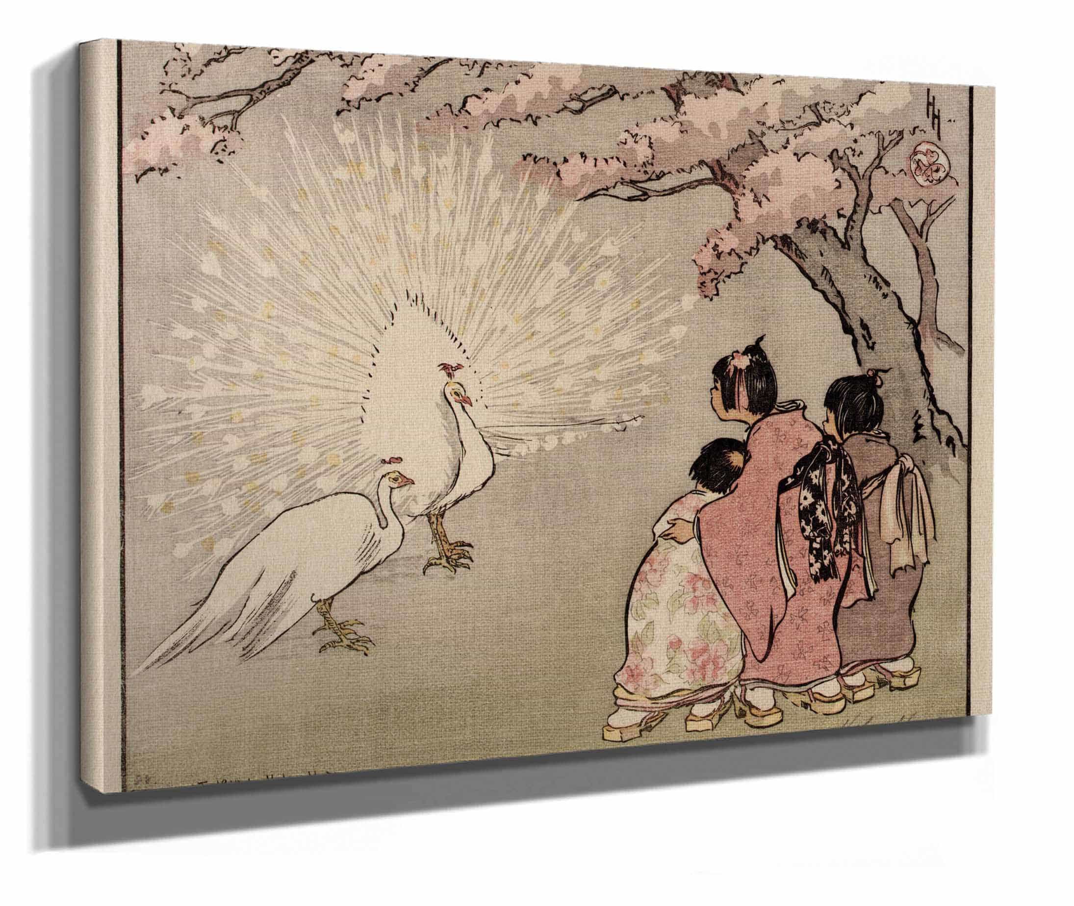 The White Peacock by Helen Hyde