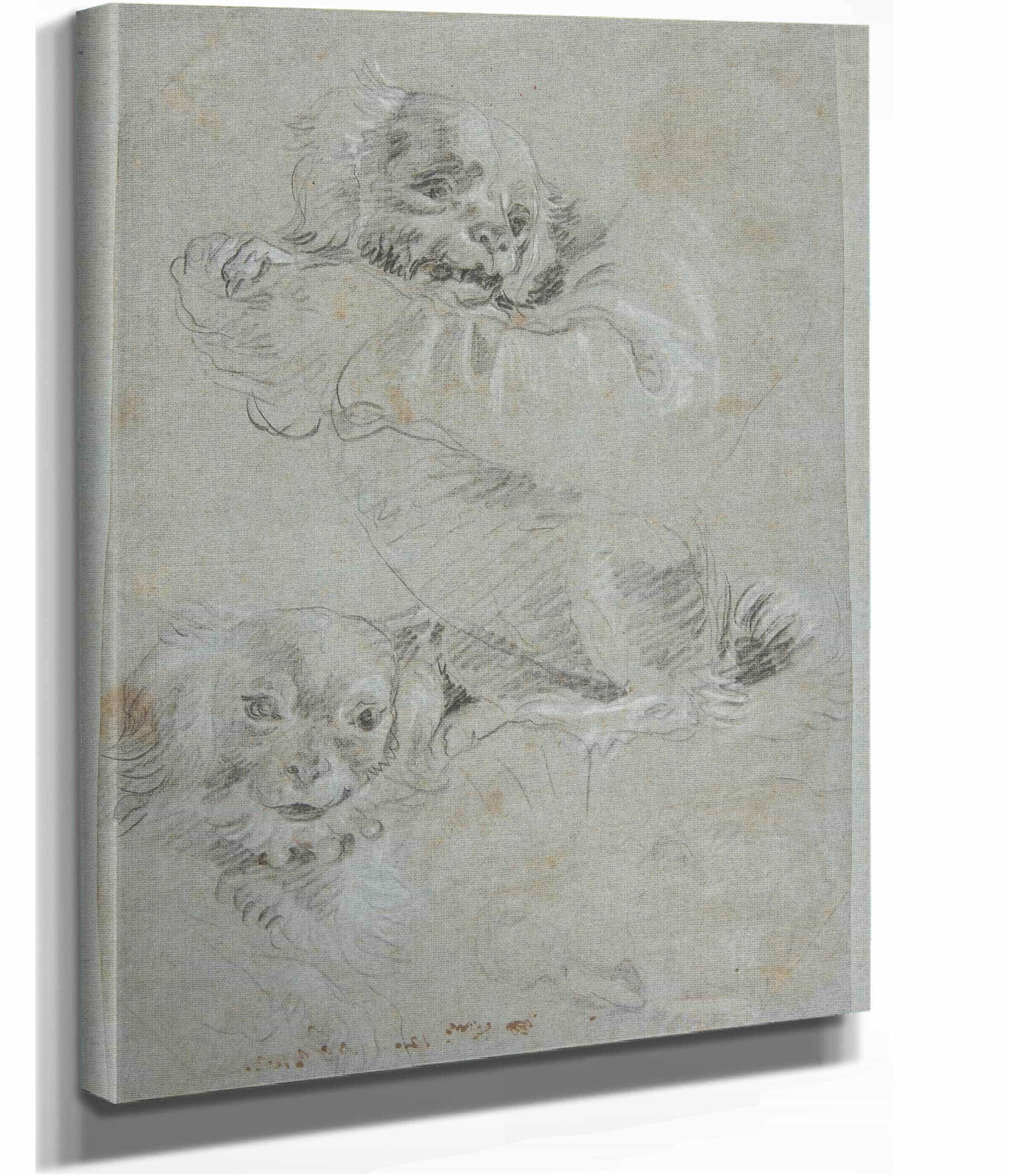 Three Dogs   by Giovanni Domenico Tiepolo
