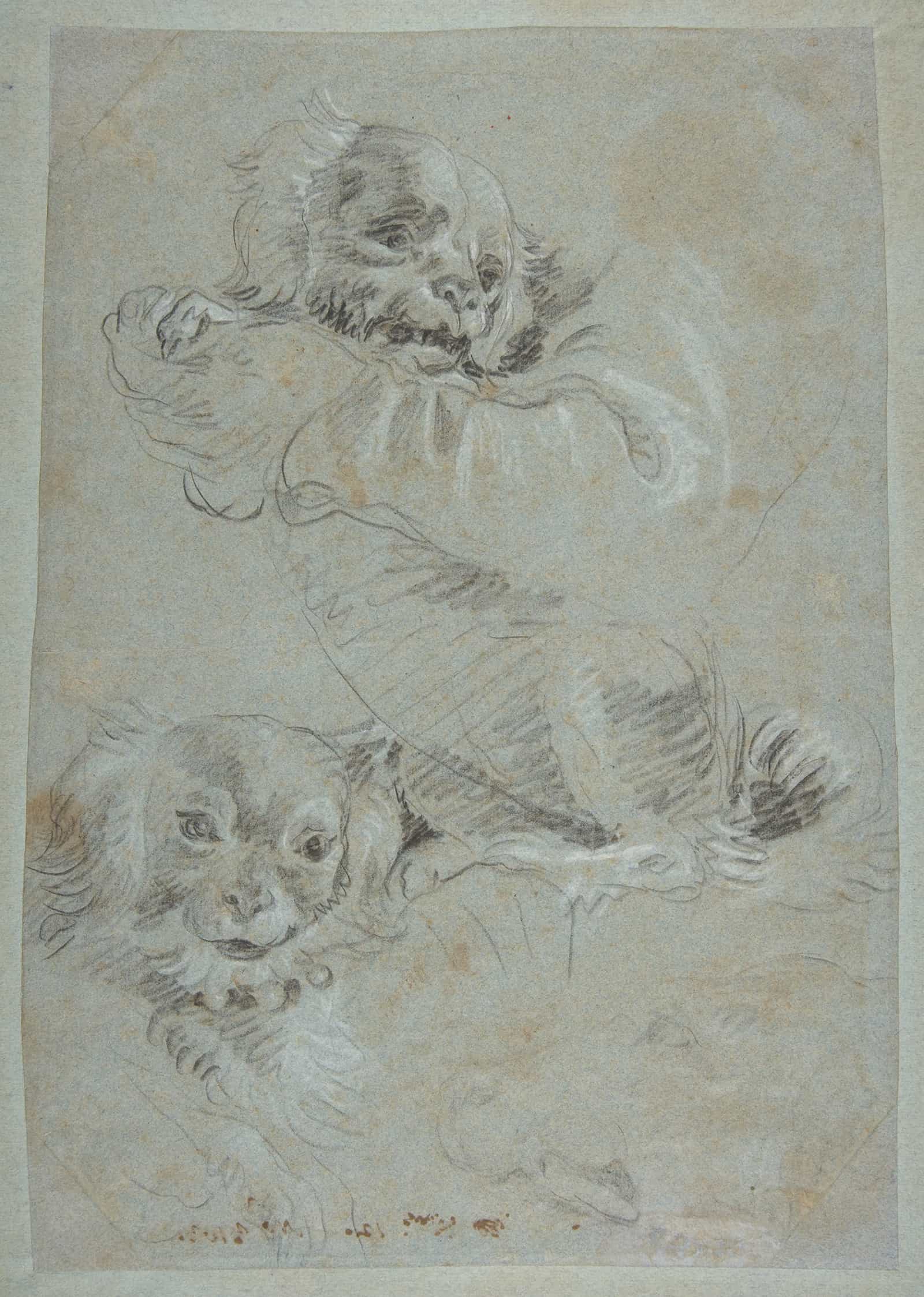 Three Dogs   by Giovanni Domenico Tiepolo