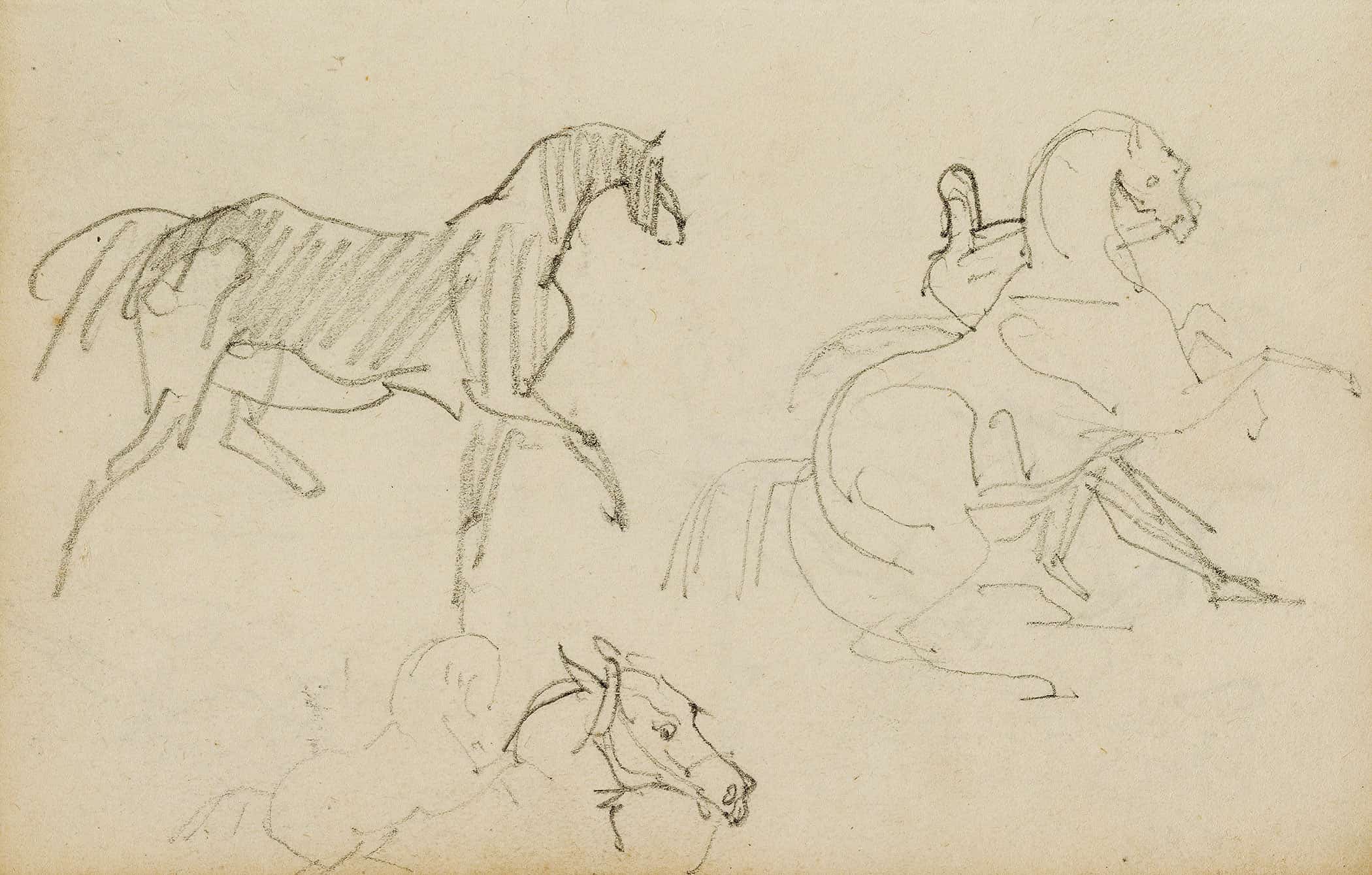 Three Horse Studies  by Theodore Gericault