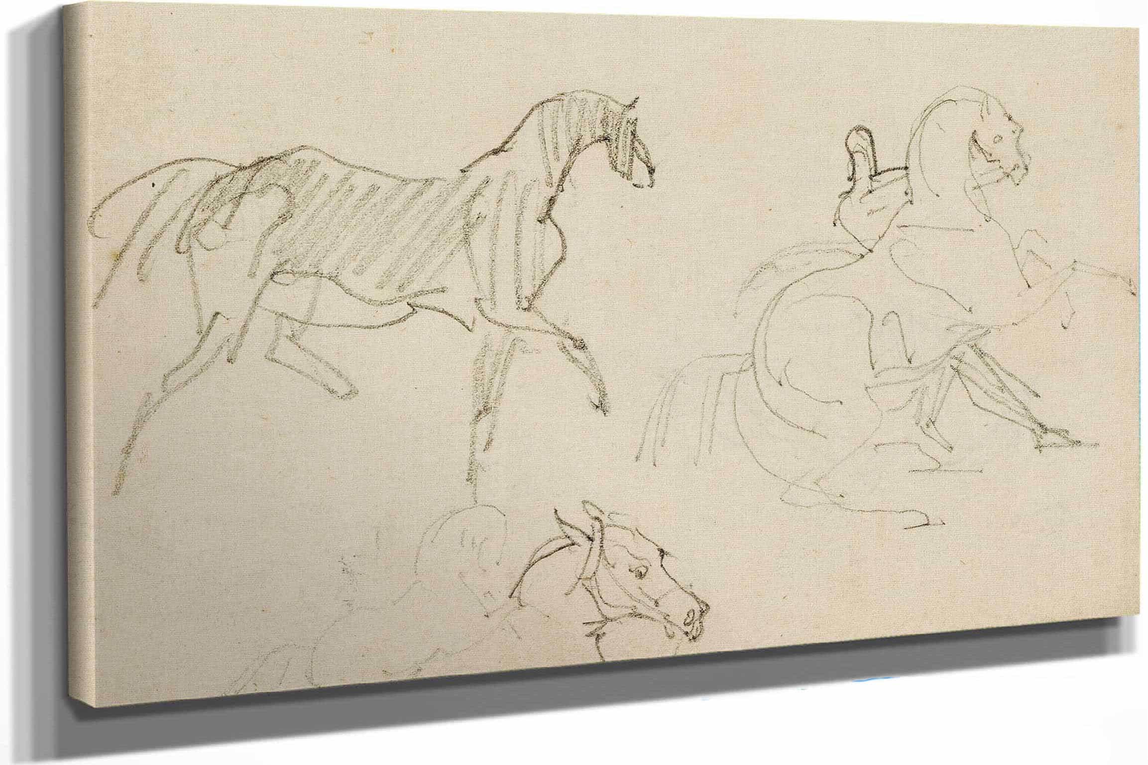 Three Horse Studies  by Theodore Gericault