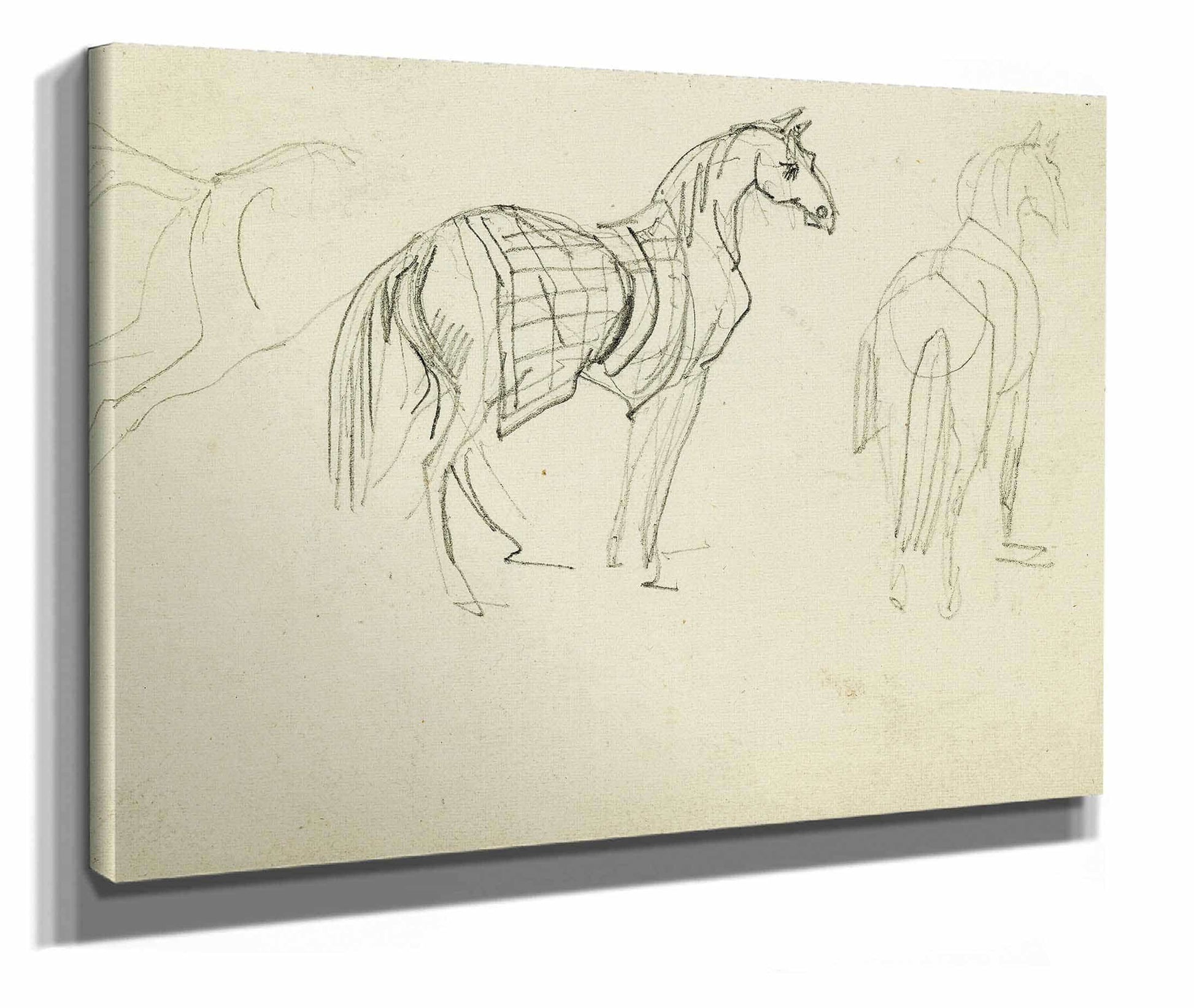 Three Horse Studies  by Theodore Gericault