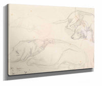 Three Studies Of A Sleeping Dog by Sir John Everett Millais