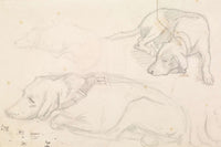 Three Studies Of A Sleeping Dog by Sir John Everett Millais