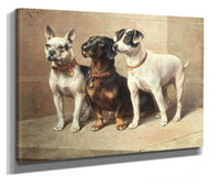 Three Watchful Dogs by Carl Reichert