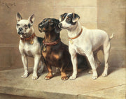 Three Watchful Dogs by Carl Reichert
