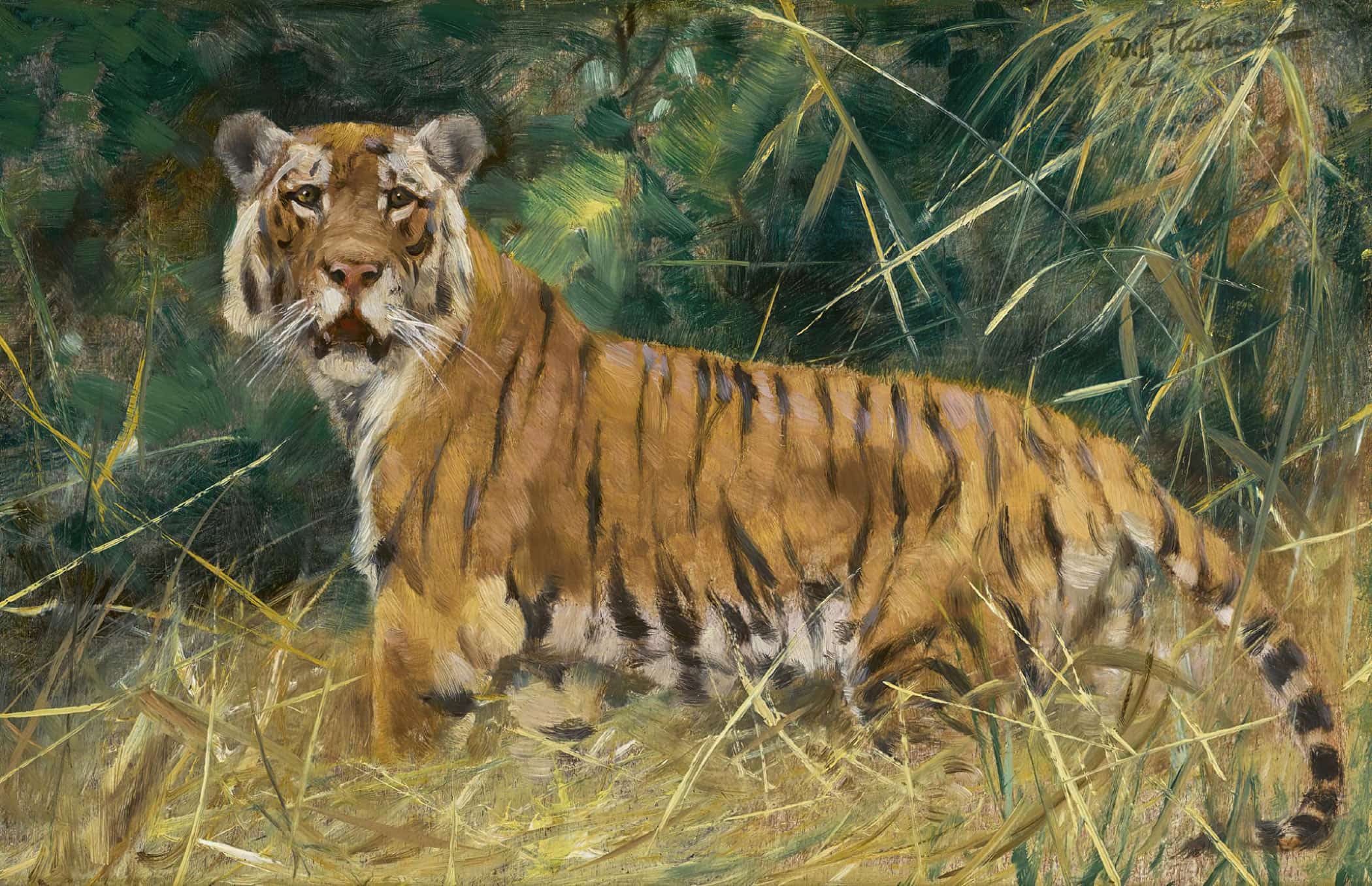 Tiger On The Alert by Wilhelm Kuhnert