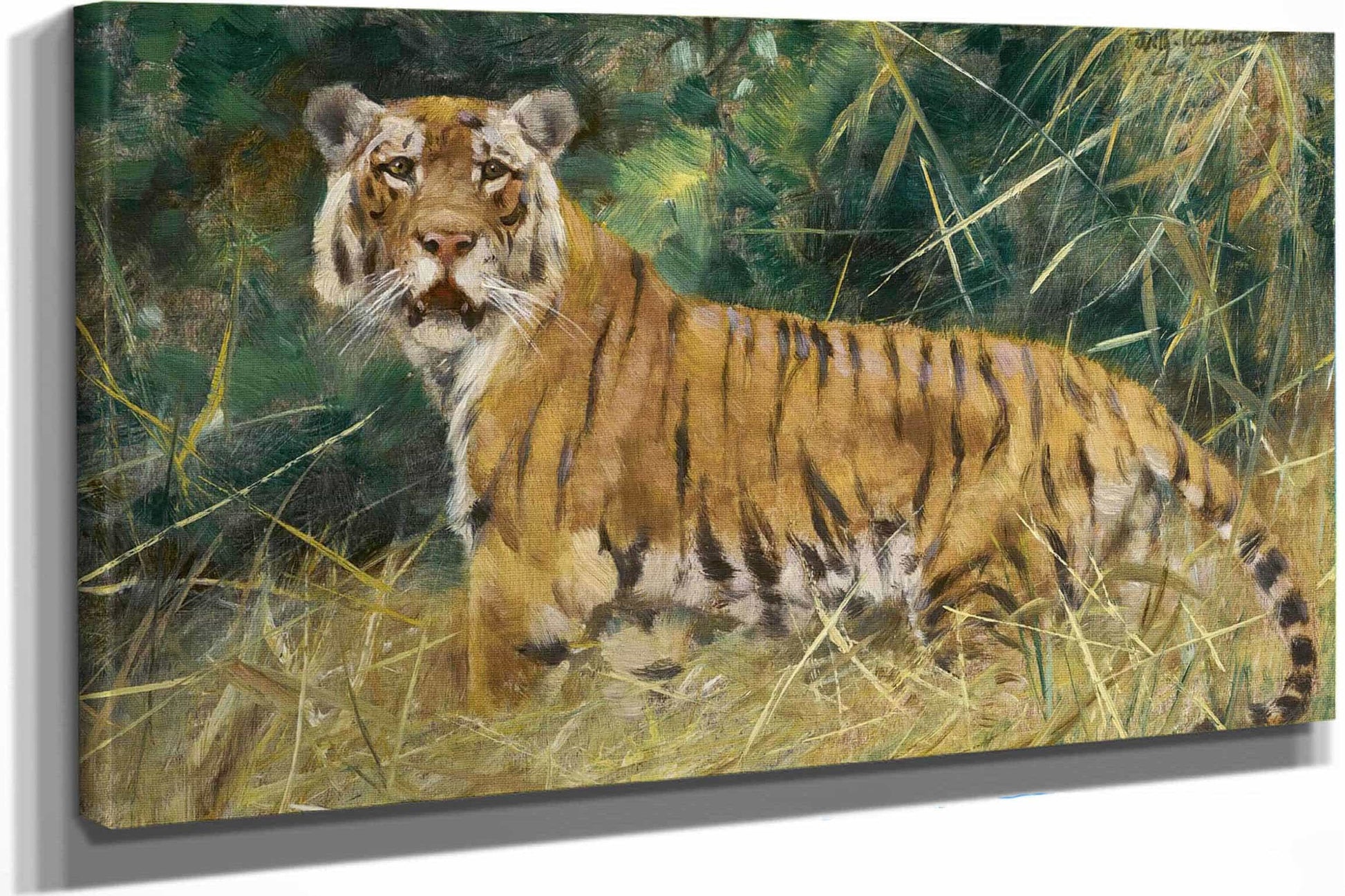 Tiger On The Alert by Wilhelm Kuhnert