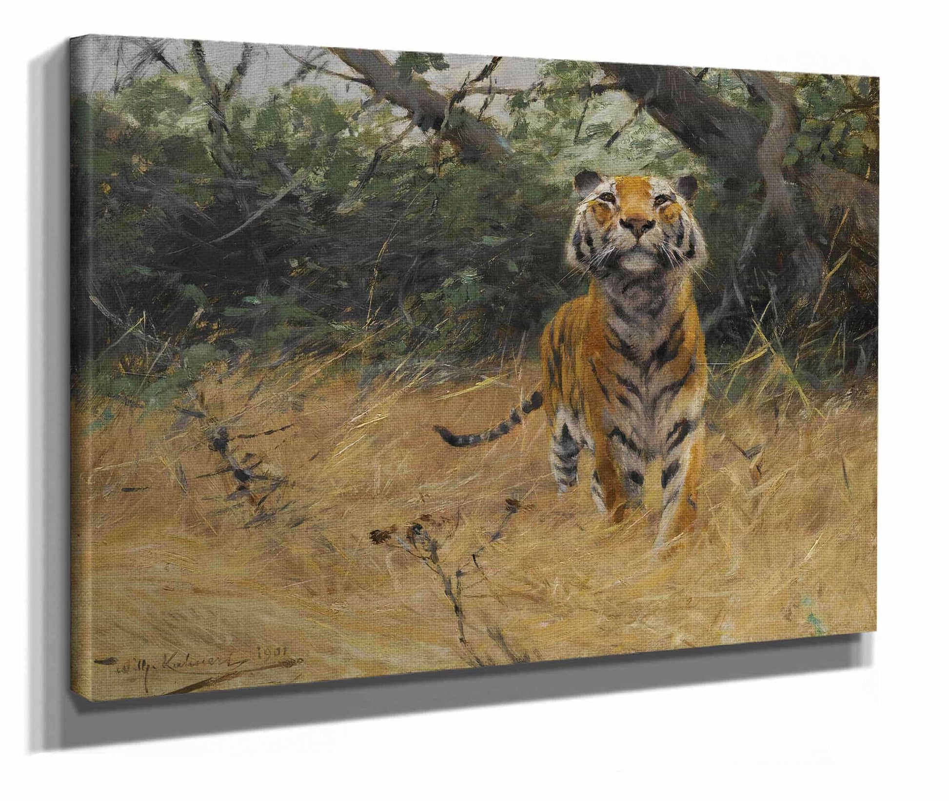 Tiger On The Watch by Wilhelm Kuhnert