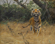 Tiger On The Watch by Wilhelm Kuhnert