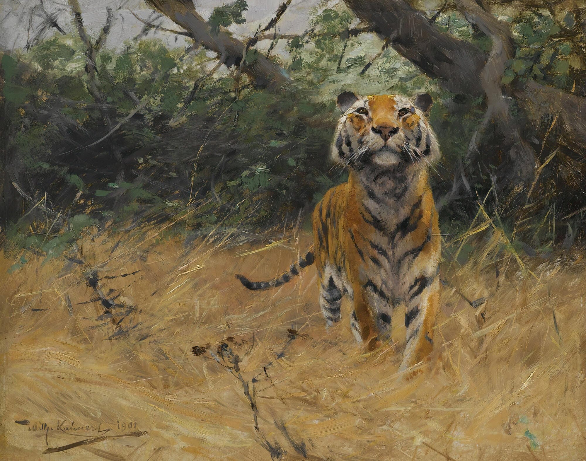 Tiger On The Watch by Wilhelm Kuhnert