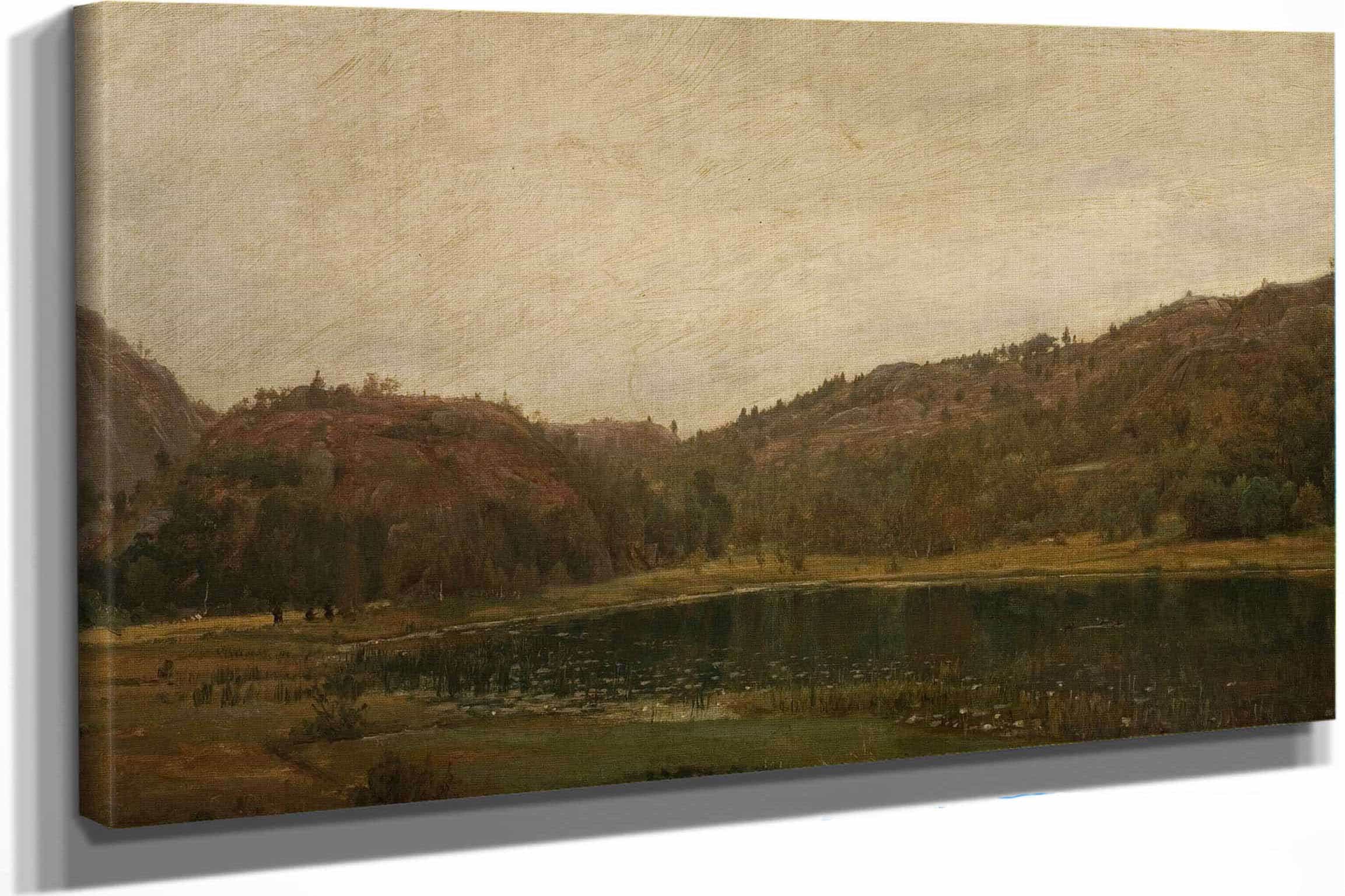 Tjern Ved Rolland Mandal by Amaldus Nielsen