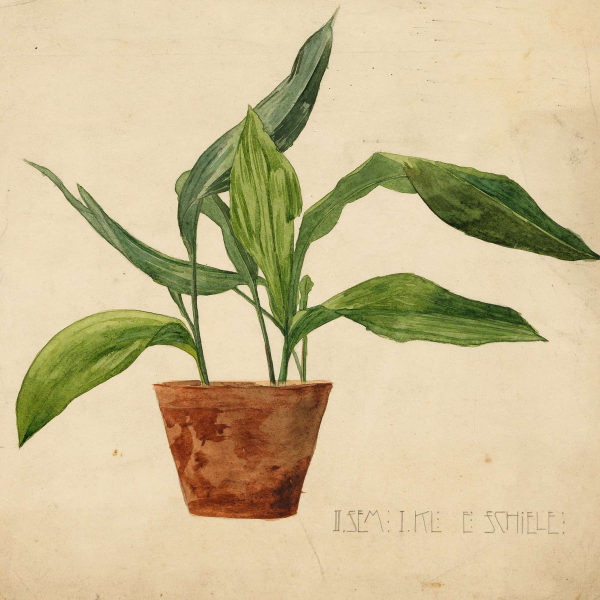 Topfpflanze Schulerarbeit by Egon Schiele