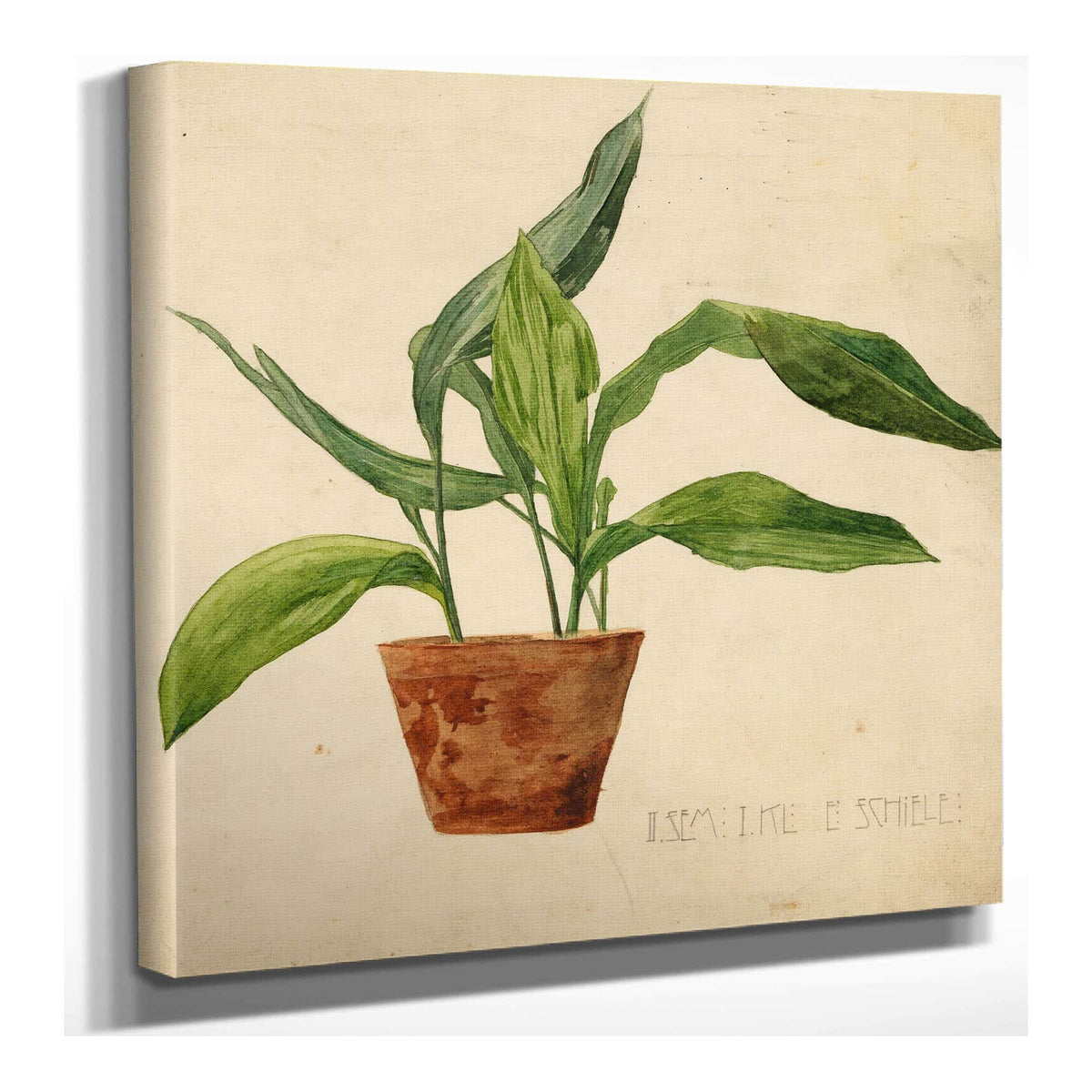 Topfpflanze Schulerarbeit by Egon Schiele