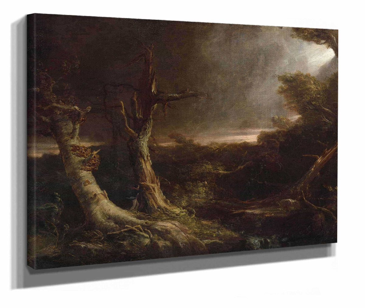 Tornado In An American Forest by Thomas Cole