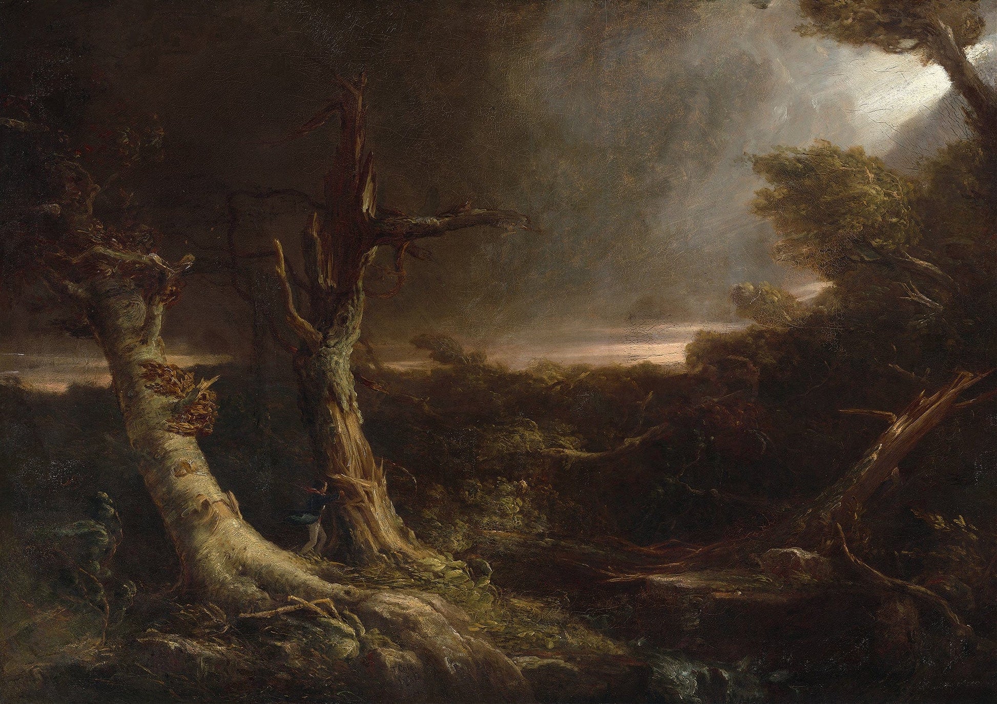 Tornado In An American Forest by Thomas Cole