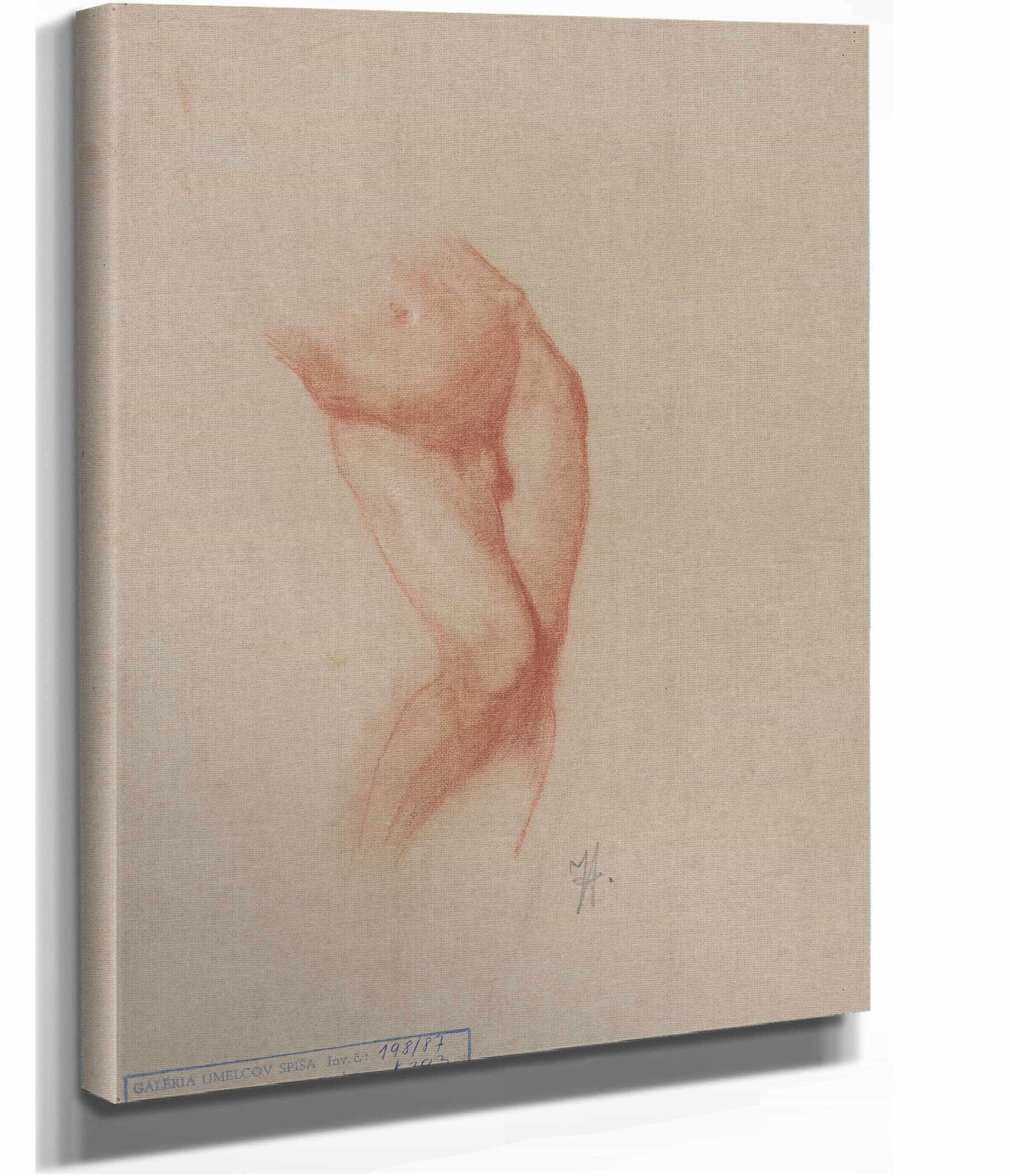 Torso Of A Male Nude by Jozef Hanula
