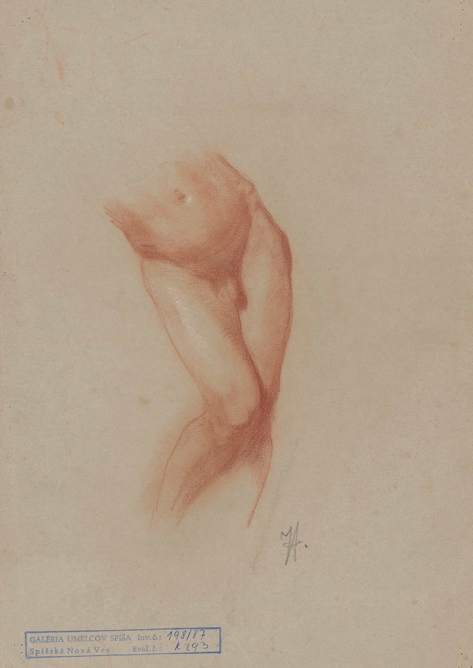 Torso Of A Male Nude by Jozef Hanula