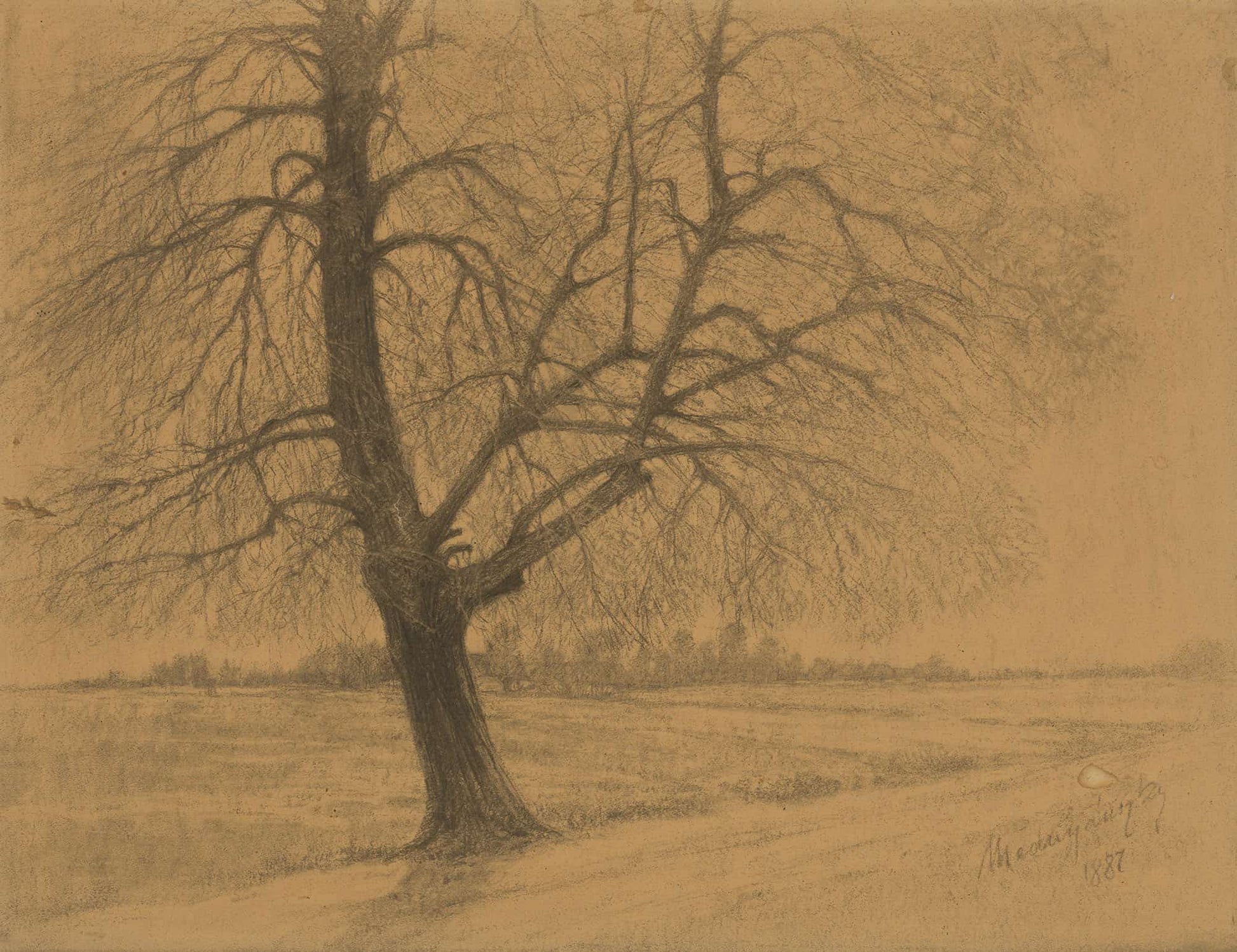 Tree by Ladislav Mednyanszky
