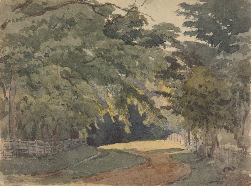 Tree Lined Lane by Thomas Sully
