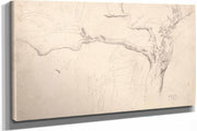 Tree Study by James Ward