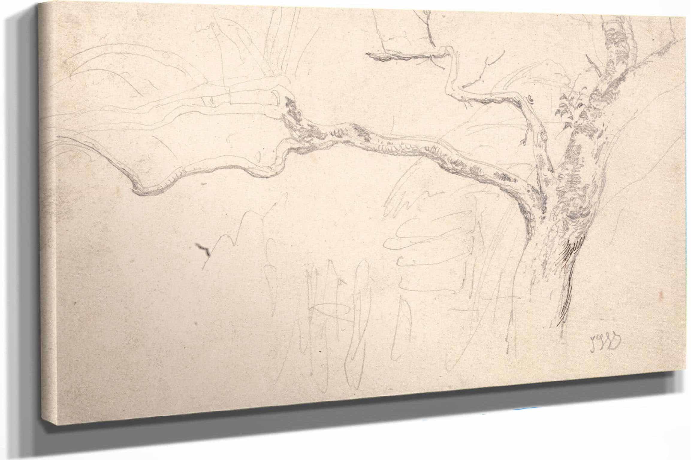 Tree Study by James Ward