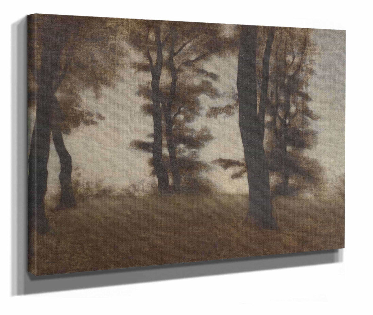 Tree Trunks Arresodal Near Frederiksvaerk North Zealand by Vilhelm Hammershoi