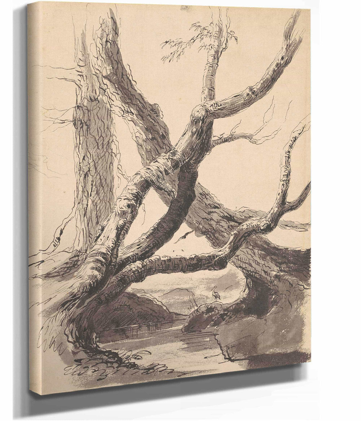 Tree Trunks by Thomas Cole