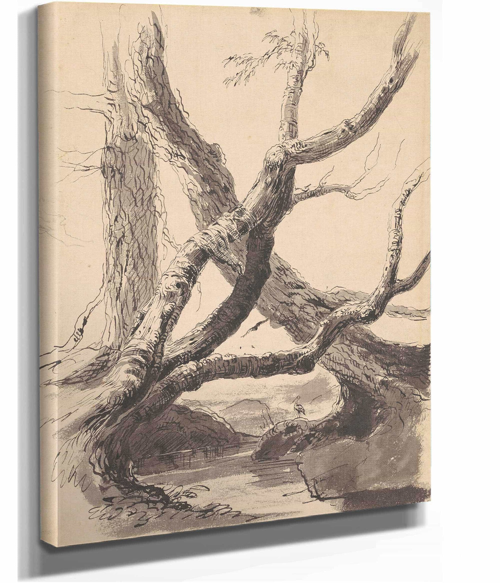 Tree Trunks by Thomas Cole