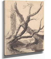 Tree Trunks by Thomas Cole