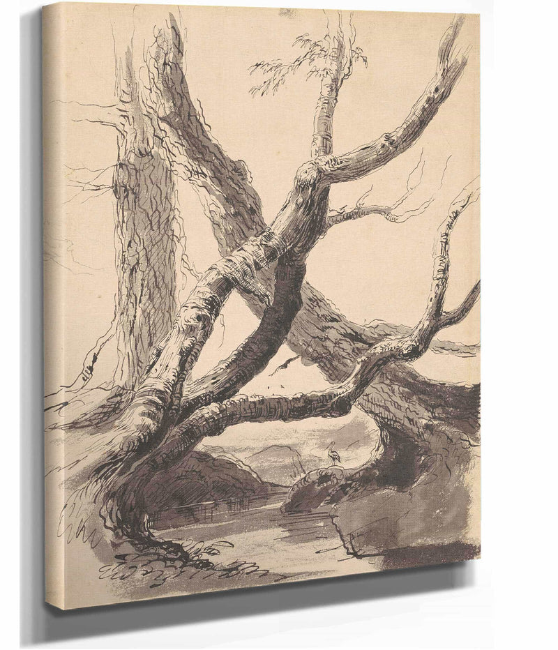 Tree Trunks by Thomas Cole