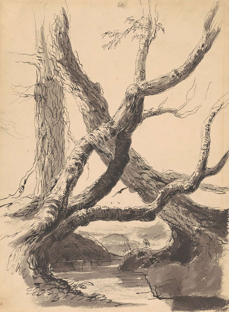 Tree Trunks by Thomas Cole