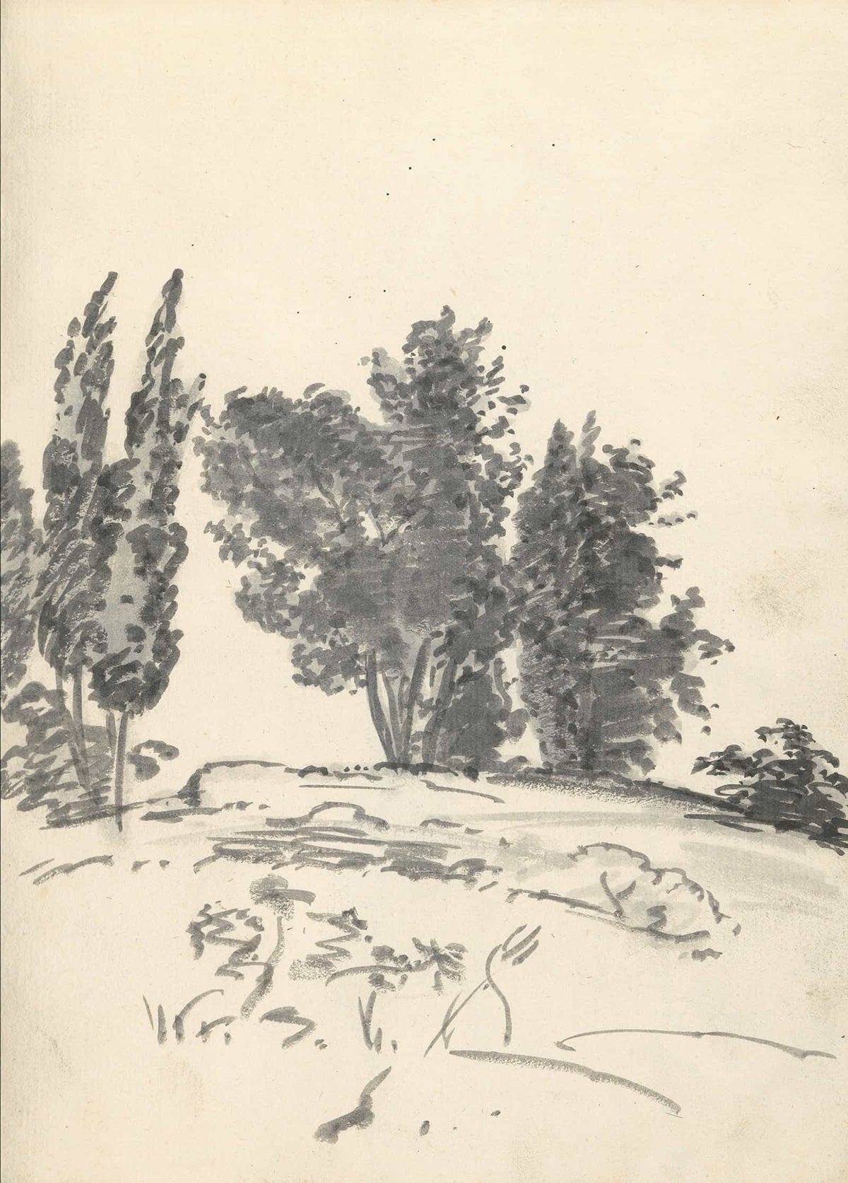 Trees Bushes And Vegetation   by Joseph Wright Of Derby