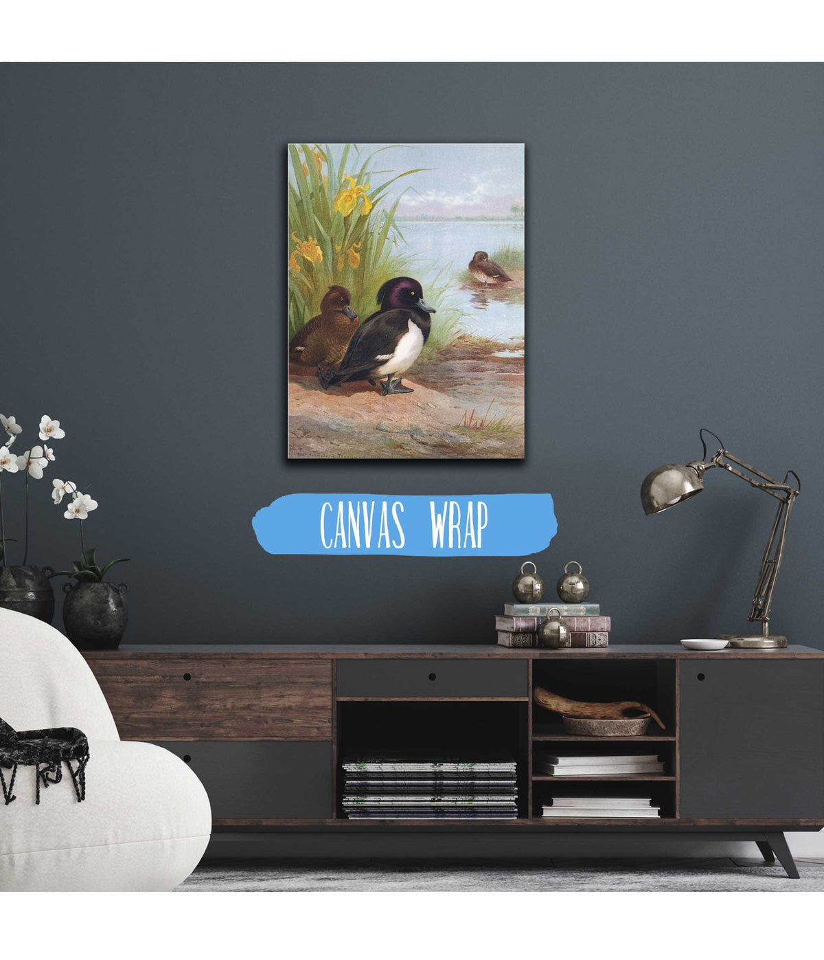 Tufted Duck by Archibald Thorburn