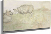 Twee Schapen  by Jozef Israels