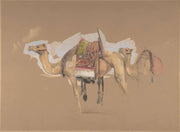Two Camels by John Frederick Lewis
