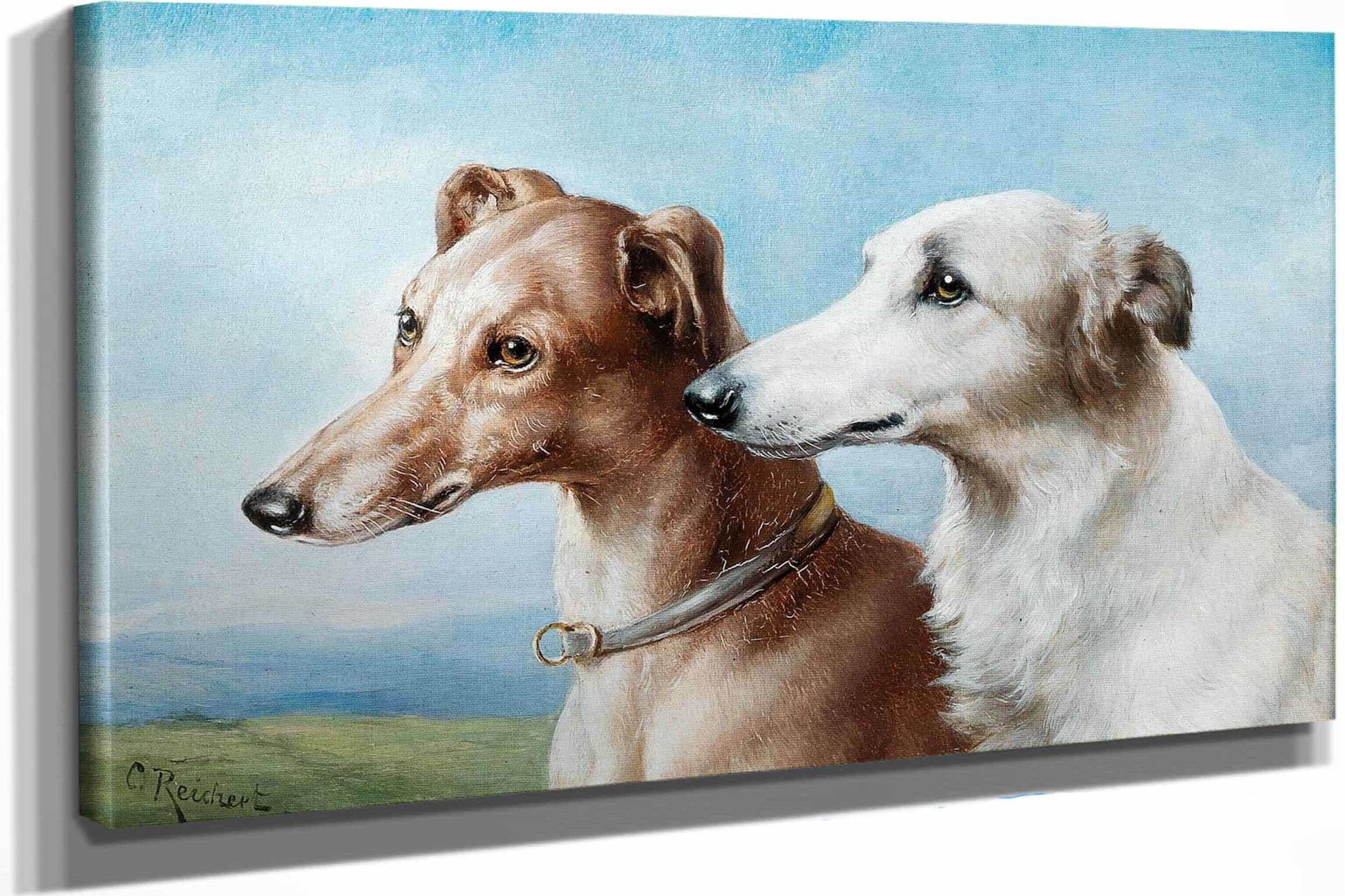 Two Greyhounds by Carl Reichert