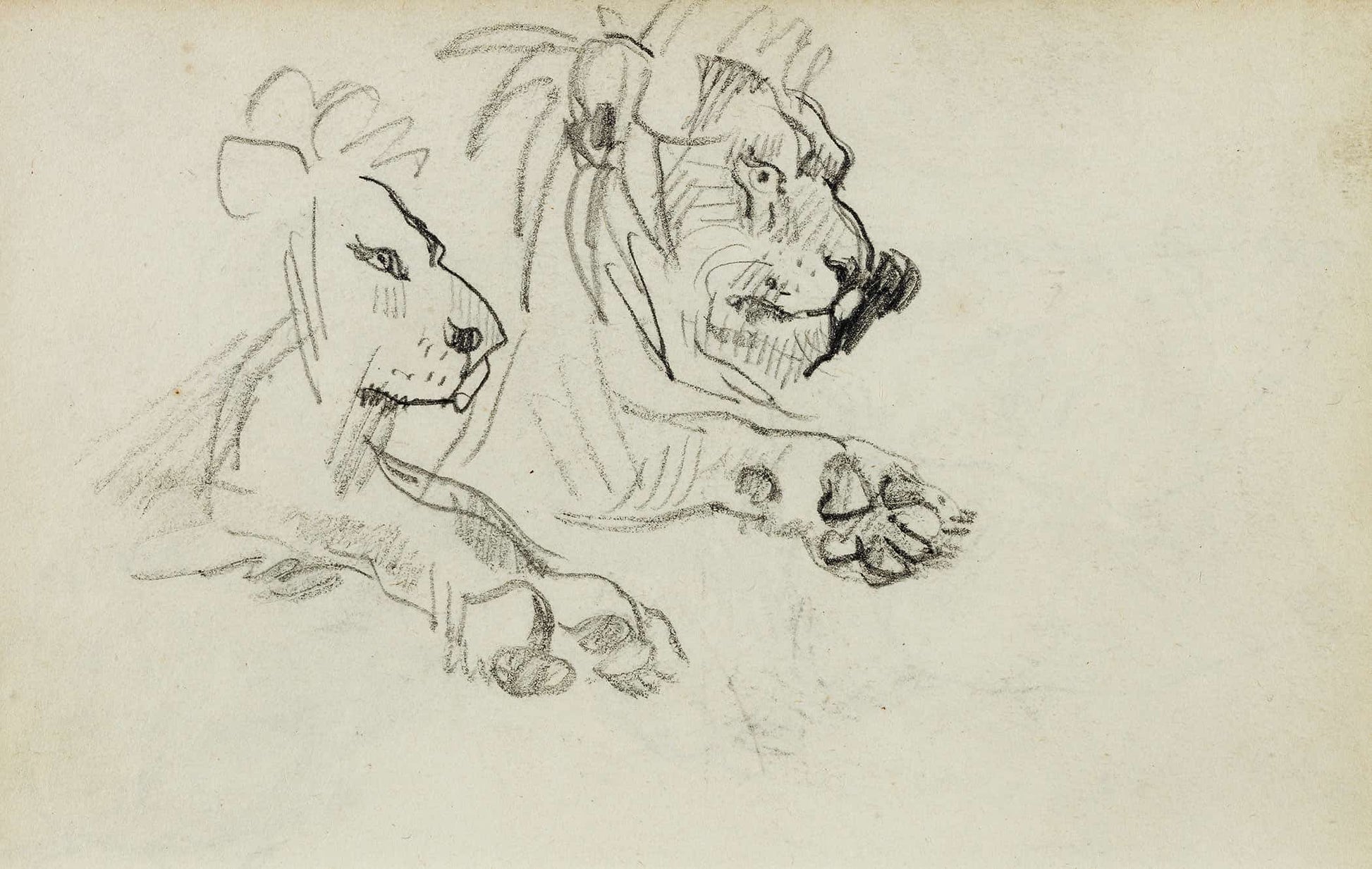 Two Lion Studies  by Theodore Gericault