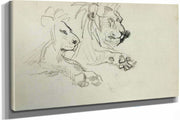 Two Lion Studies  by Theodore Gericault